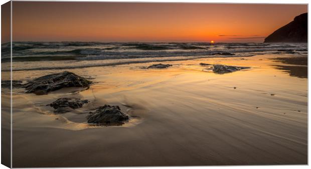 Like Gold Canvas Print by Michael Brookes