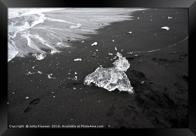 Ice animal walking onto the beach Framed Print by Jutta Klassen
