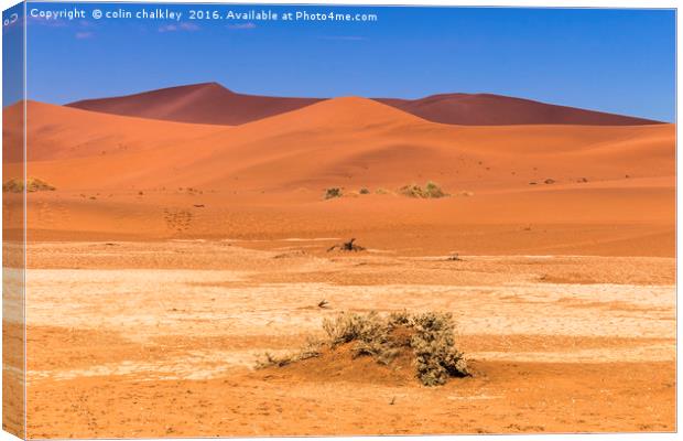 Sossusvlie Sand Dunes, Namib Desert Canvas Print by colin chalkley