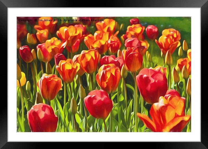 Artistic Tulips Framed Mounted Print by Jim Jones