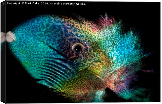 Parrot,fish or feather Canvas Print by Mark Cake