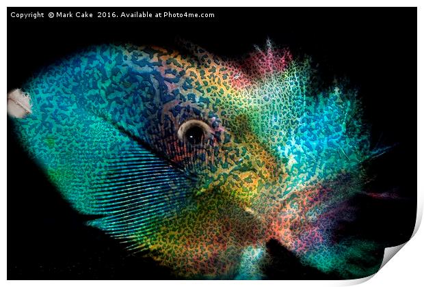 Parrot,fish or feather Print by Mark Cake