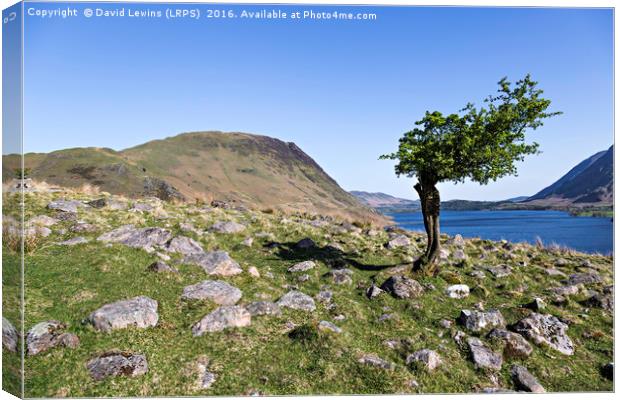 Crummock Water & Melbreak Canvas Print by David Lewins (LRPS)