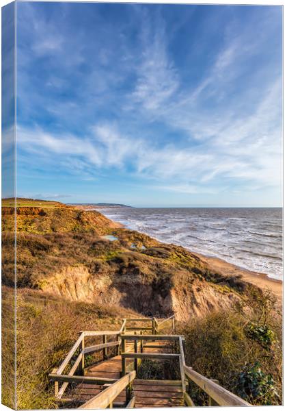 Chilton Chine Canvas Print by Wight Landscapes