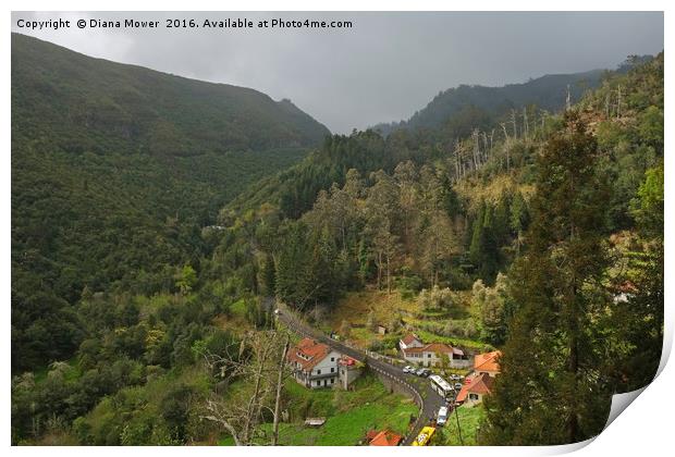 Ribeirio Frio Madeira Print by Diana Mower