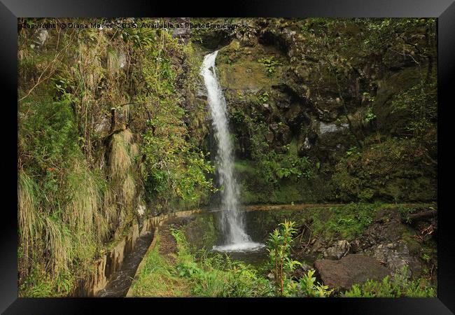 Madeiran Waterfall Framed Print by Diana Mower