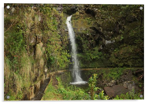 Madeiran Waterfall Acrylic by Diana Mower