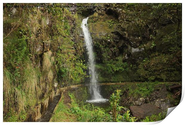Madeiran Waterfall Print by Diana Mower