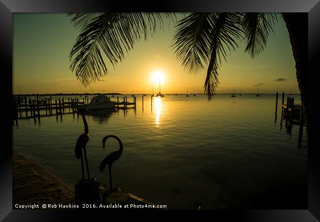 Pelican Sunset  Framed Print by Rob Hawkins