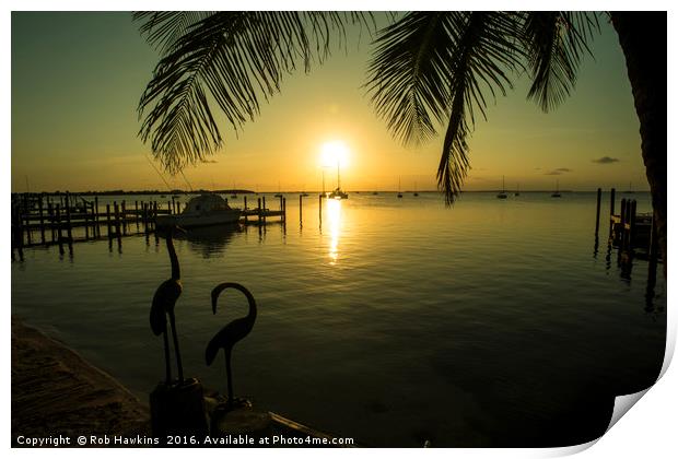 Pelican Sunset  Print by Rob Hawkins