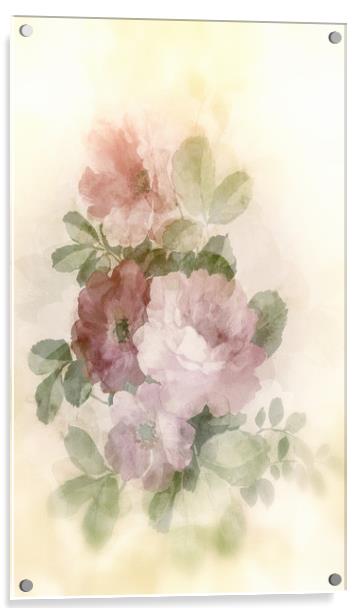 Bush roses Acrylic by Dagmar Giers