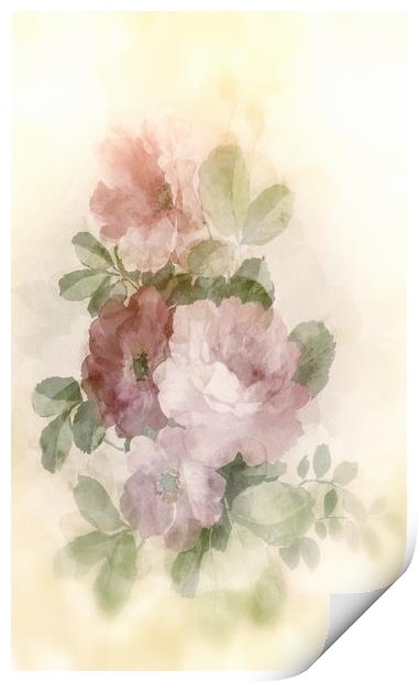 Bush roses Print by Dagmar Giers