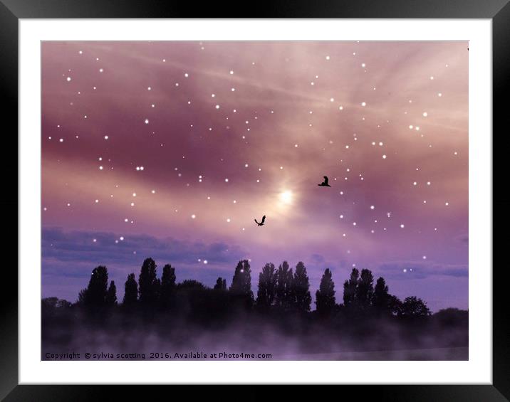 Star filled night Framed Mounted Print by sylvia scotting
