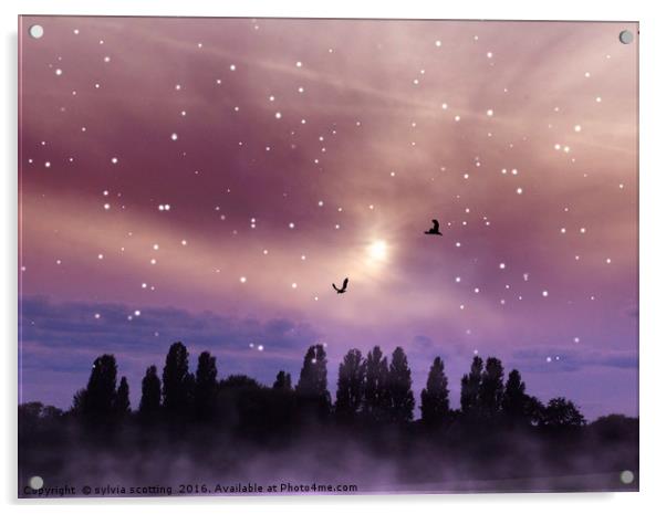 Star filled night Acrylic by sylvia scotting
