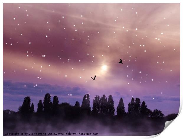 Star filled night Print by sylvia scotting