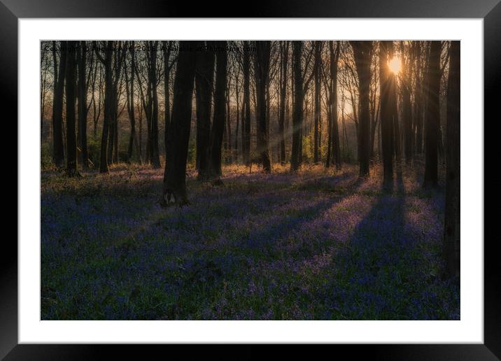 Sunrays Framed Mounted Print by Angela Aird