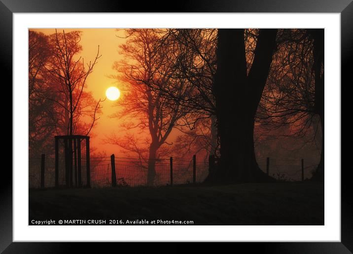Waking Up Framed Mounted Print by MARTIN CRUSH