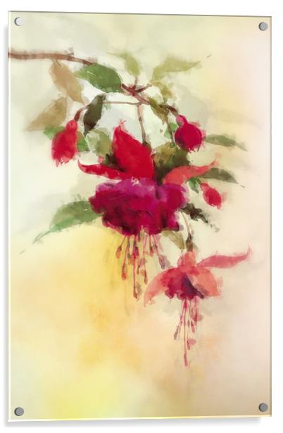 Fuchsia Acrylic by Dagmar Giers