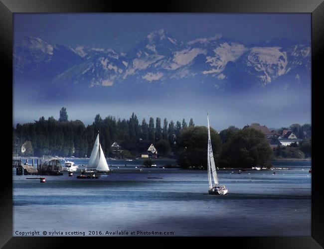         Lake Constance                         Framed Print by sylvia scotting