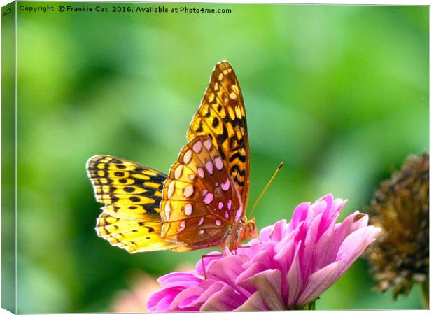 Great Spangled Fritillary Canvas Print by Frankie Cat