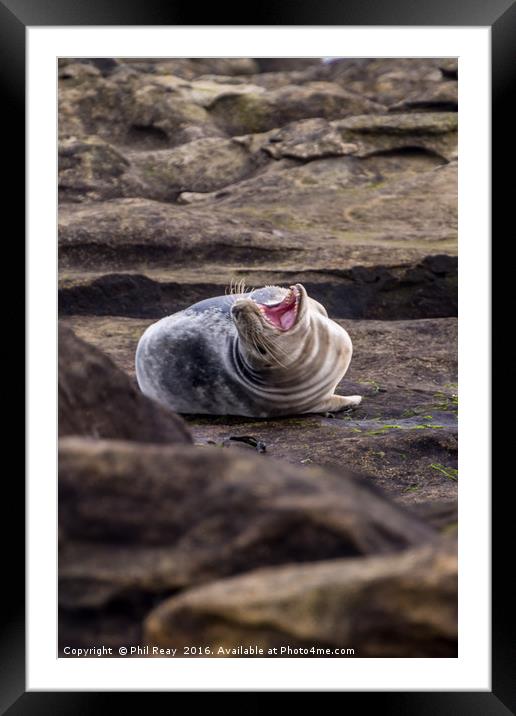 What`s so funny? Framed Mounted Print by Phil Reay