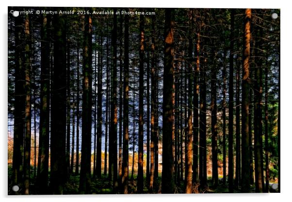 Kielder Forest and Kielder Water  Acrylic by Martyn Arnold