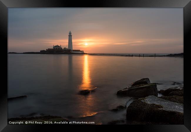 Sunrise at St Mary`s lighthouse Framed Print by Phil Reay