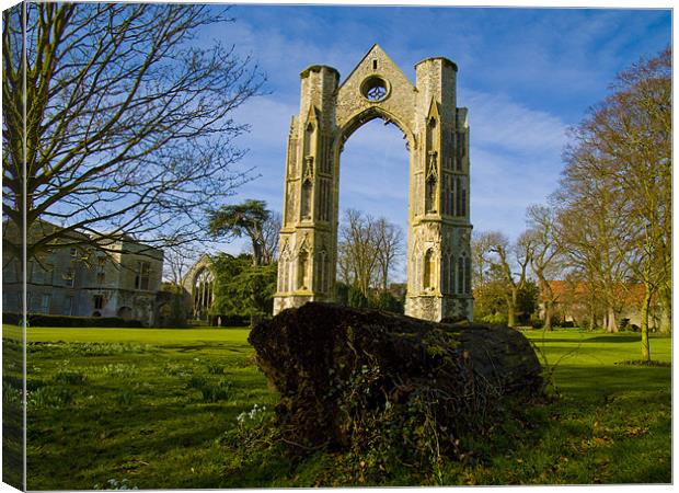 Walsingham Priory Canvas Print by David French
