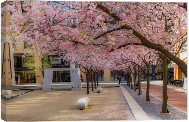 Views around Birmingham city centre Uk Canvas Print by Gail Johnson