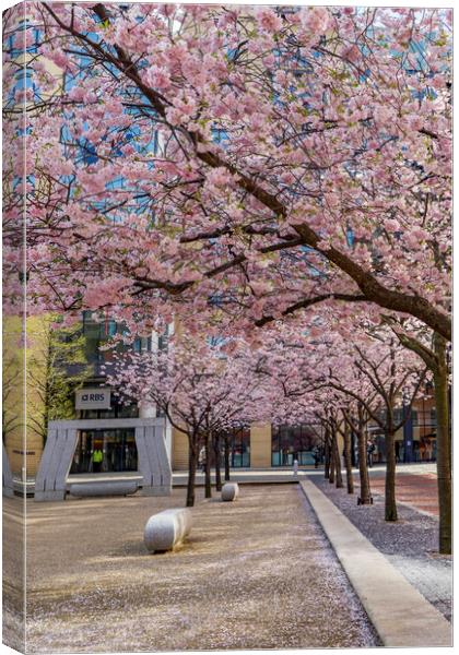 Views around Birmingham city centre Uk Canvas Print by Gail Johnson