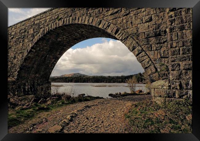 Stroan Loch Raiders Road Dumfries and Galloway     Framed Print by Andy Smith