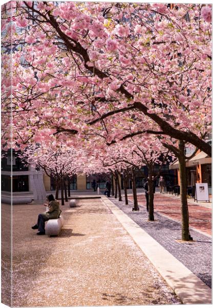 Views around Birmingham city centre Uk Canvas Print by Gail Johnson