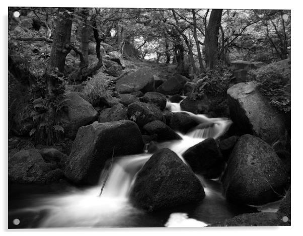 Padley Gorge in Black and White Acrylic by Simon Gladwin