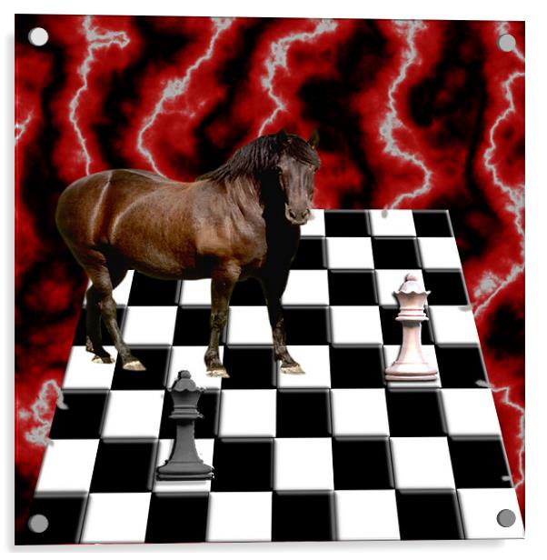 HORSE PLAY Acrylic by david hotchkiss