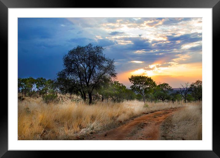 Early Morning Framed Mounted Print by Karl Daniels