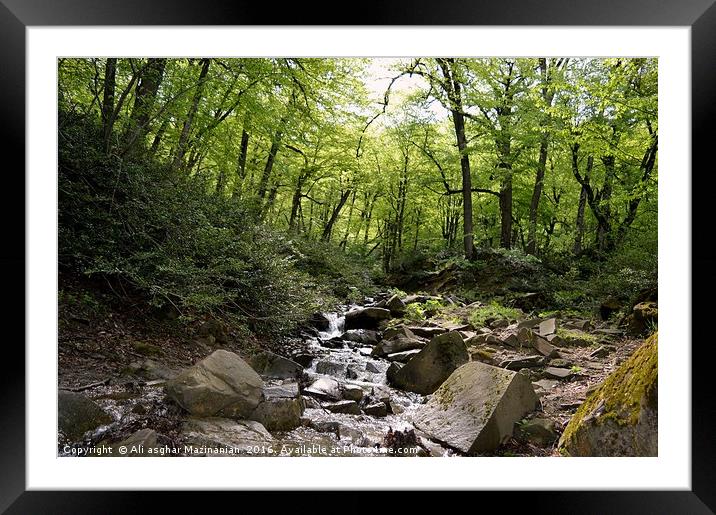 A quiet place in jungle, Framed Mounted Print by Ali asghar Mazinanian