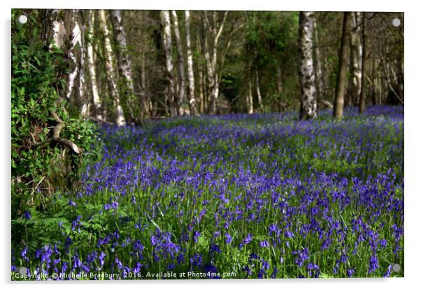 Carpet of Bluebells in Kent Acrylic by Michelle Bradbury