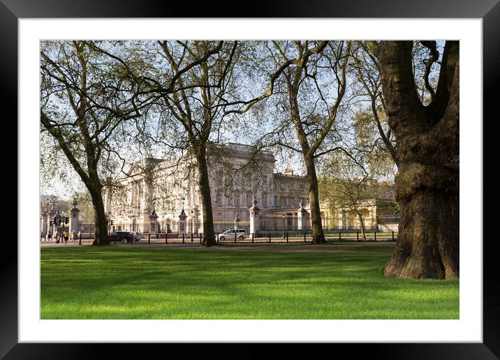 Buckingham Palace Through The Trees Framed Mounted Print by David Pyatt