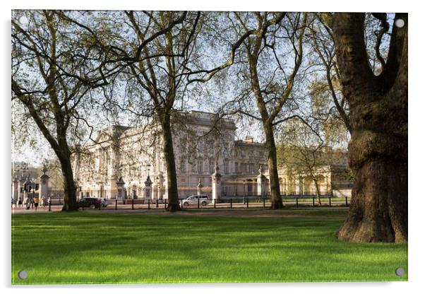 Buckingham Palace Through The Trees Acrylic by David Pyatt