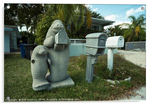 Manatee Mailbox  Acrylic by Rob Hawkins