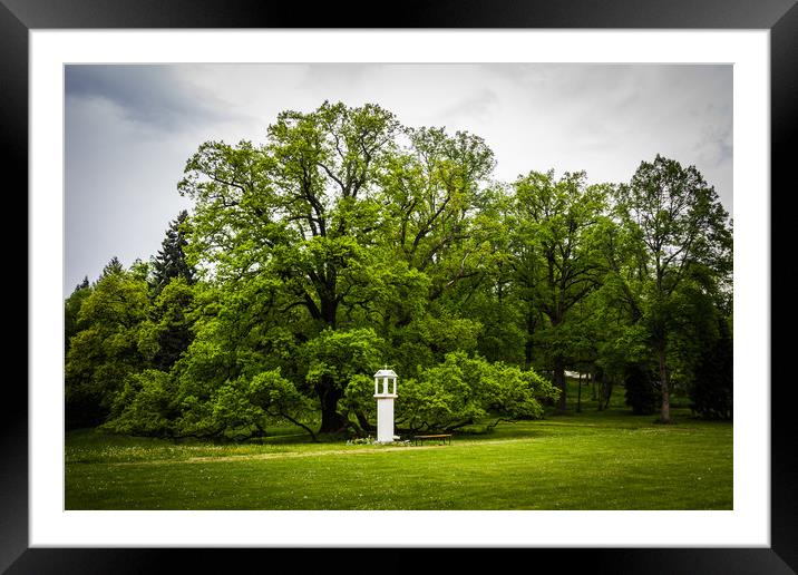 Old Park in South Bohemia. Framed Mounted Print by Sergey Fedoskin