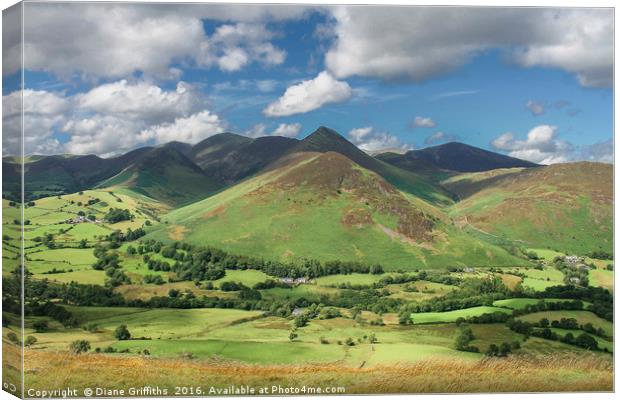 View on Catbells Walk, Keswick Canvas Print by Diane Griffiths