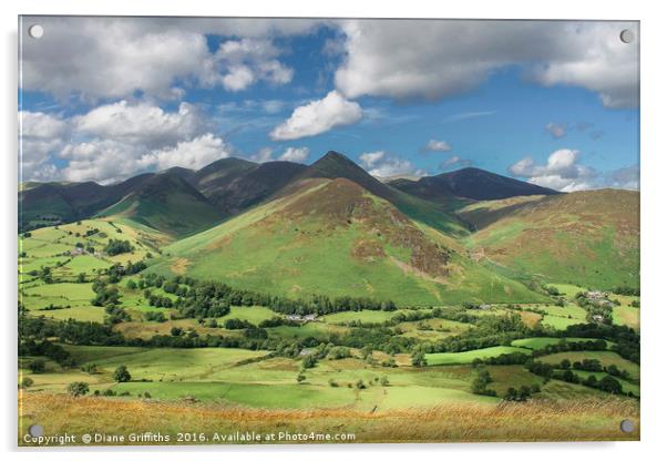 View on Catbells Walk, Keswick Acrylic by Diane Griffiths