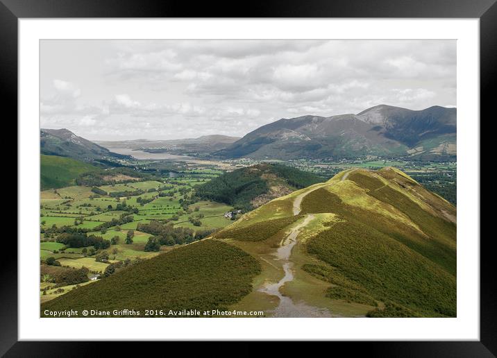 Catbells Walk, Keswick Framed Mounted Print by Diane Griffiths