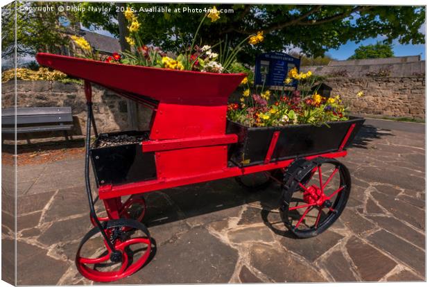 Flower cart still blossoming............ Canvas Print by Naylor's Photography