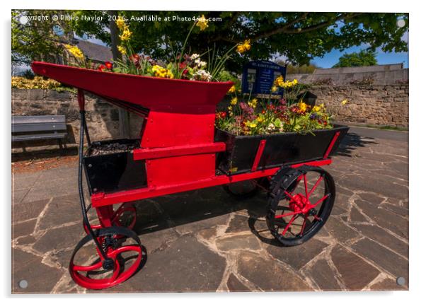 Flower cart still blossoming............ Acrylic by Naylor's Photography