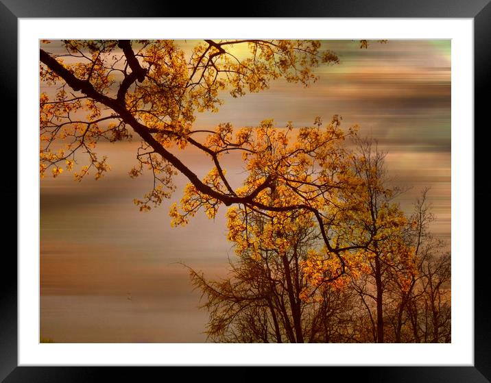 Touch of Spring.. Framed Mounted Print by Heather Goodwin
