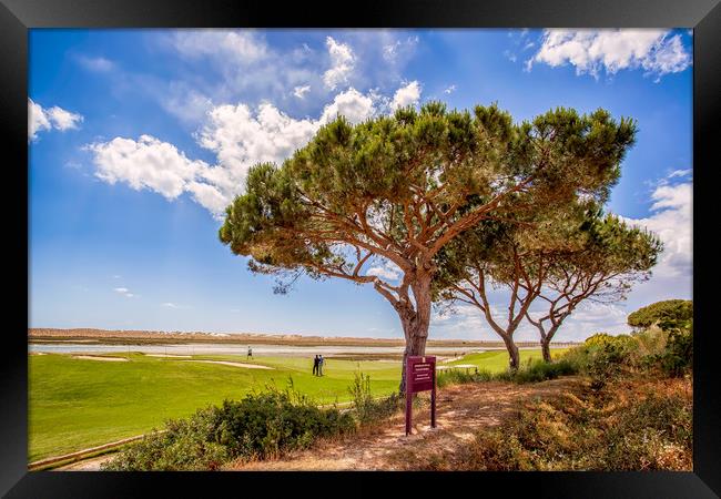 Algarve Golf Framed Print by Wight Landscapes