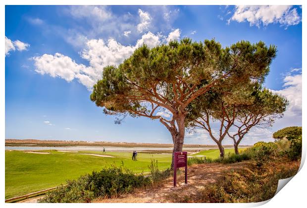 Algarve Golf Print by Wight Landscapes
