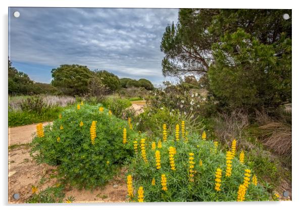 Wild Lupins Acrylic by Wight Landscapes